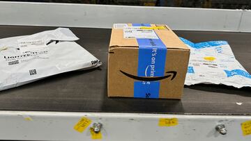 FILE PHOTO: Packages are transported on a conveyor belt at the Amazon warehouse, busy on Prime Day, in Melville, New York, U.S., July 11, 2023. REUTERS/Soren Larson/File Photo