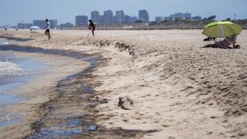 Vista del vertido en la playa de El Saler, a 16 de julio de 2024, en Valencia, Comunidad Valenciana (Espa?a). La Capitan¨ªa Mar¨ªtima de Valencia ha activado el Plan Mar¨ªtimo Nacional (PMN) en situaci¨®n 1 --que se pone en marcha cuando se produce en el mar un episodio de contaminaci¨®n que pueda afectar a la costa-- a causa de un vertido contaminante detectado en la zona de fondeo en el litoral sur de Val¨¨ncia y que ya ha alcanzado a la playa del Saler.
16 JULIO 2024;VERTIDO;CONTAMINACI?N;PLAYA;
Jorge Gil / Europa Press
16/07/2024