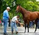‘American Pharoah’ y el sueño de conquistar la Triple Corona