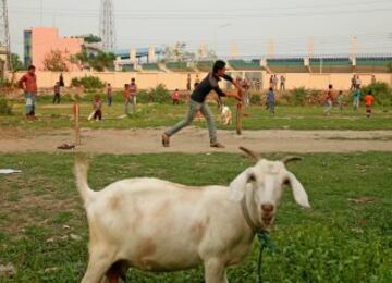 Los niños juegan al criquet en los suburbios de Dhaka durante la ICC World Twenty20 Bangladesh 2014