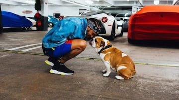 Lewis Hamilton, desolado tras la muerte de su perro: "Mi corazón está roto"