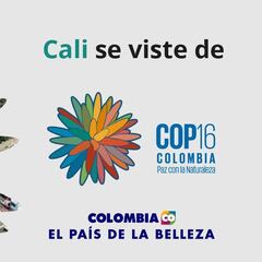 Qué es la COP16: estas son las fechas y el lugar dónde se celebrará este evento en Colombia