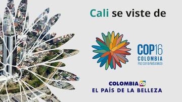 Cali presenta imagen oficial para la COP16, destacando la biodiversidad colombiana.