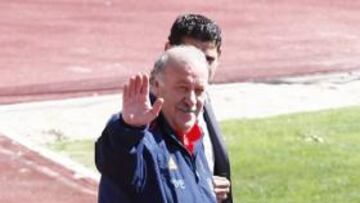Vicente Del Bosque.