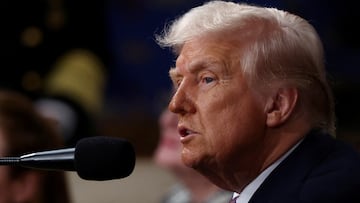 El presidente Donald Trump ha entrado en una guerra arancelaria con los países vecinos de Estados Unidos