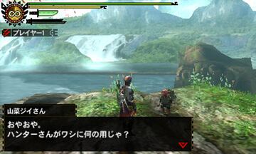 Captura de pantalla - Monster Hunter 4 (3DS)