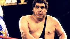 André René Roussimoff, más conocido como André el Gigante, fue uno de los primeros nombres que transcendió el mundo de la lucha libre. Nacido en Grenoble (Francia), era un ‘Goliat’ moderno. Padecía gigantismo, lo que provocó su temprana muerte (con 46 años, en 1993), y era uno de los principales reclamos de la WWF. Con 2,24 metros de altura y más de 250 kilos, su sola presencia encandilaba a todos los fans. Debido a ese tamaño, su leyenda se fue haciendo más grande: no podía conducir coches normales, debía volar sentado en el suelo y dicen que era capaz de beber hasta 120 cervezas de una vez. Fuese o no exagerada su aura, sobre el ring demostraba su tamaño y su calidad. Su rivalidad con Hulk Hogan es una de las mejores que han sucedido en la historia del wrestling. 