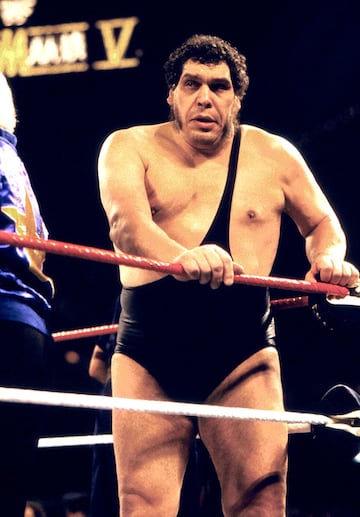 André René Roussimoff, más conocido como André el Gigante, fue uno de los primeros nombres que transcendió el mundo de la lucha libre. Nacido en Grenoble (Francia), era un ‘Goliat’ moderno. Padecía gigantismo, lo que provocó su temprana muerte (con 46 años, en 1993), y era uno de los principales reclamos de la WWF. Con 2,24 metros de altura y más de 250 kilos, su sola presencia encandilaba a todos los fans. Debido a ese tamaño, su leyenda se fue haciendo más grande: no podía conducir coches normales, debía volar sentado en el suelo y dicen que era capaz de beber hasta 120 cervezas de una vez. Fuese o no exagerada su aura, sobre el ring demostraba su tamaño y su calidad. Su rivalidad con Hulk Hogan es una de las mejores que han sucedido en la historia del wrestling. 