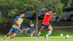 Pumas venció a Rayados en dos encuentros amistosos