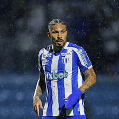 Paolo Guerrero volvió a sumar minutos con Avaí