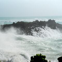 Disaster declaration in Texas because of Tropical Storm Alberto: counties affected and what to do