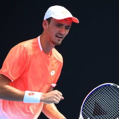 Medvedev, Zverev, Coric y Goffin arrasan; Nishikori sufre