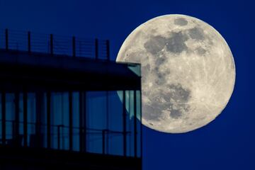 Entre este 7 y 8 de abril tiene lugar la Superluna rosa de abril. Es un fenómeno que hace que este satélite se vea un 14% más grande y un 29,2% más brillante. Esto ocurre  porque coincide con el momento de máximo acercamiento del satélite a la Tierra.
