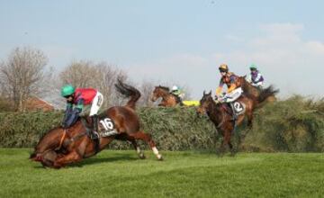 Grand National 2015.