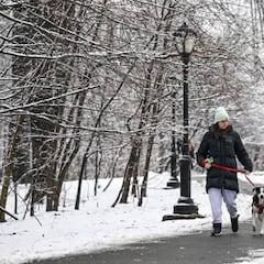 What is the difference between a blizzard and a snow storm?