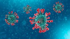 The WHO has confirmed the first cases of a recombinant variant of coronavirus which includes mutuations common in the Omicron and Delta strains of covid-19.