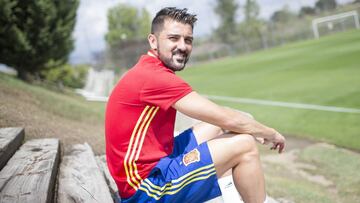 David Villa, con la Selección española.