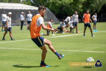 Defensa central argentino que llega a Pumas procedente de Liga de Quito en el futbol ecuatoriano. Condiciones tiene, falta ver si logra la consolidación para hacer olvidar a Darío Verón en el Pedregal.