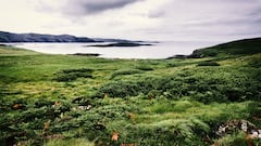 Buscan trabajadores para una isla desierta a un paso de España: 30.000 euros por seis meses en un lugar aislado de la civilización