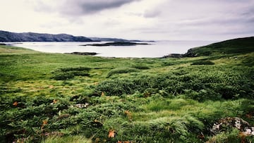 Handa island - SWT RESERVE. North West Scotland.