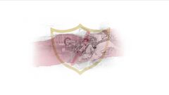 Del nacimiento de la ADRV a su profesionalización