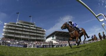 Es una de las más prestigiosas carreras de caballos del mundo. Se disputa en el hipódromo de Epsom Downs, Surrey, Inglaterra.