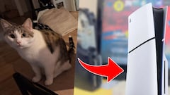 Se vende la PS5 usada más inusual: “El gato es negociable”
