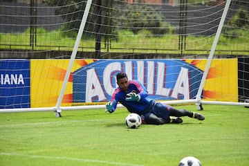 La Selección Colombia trabaja en la Sede de la Federación Colombiana de Fútbol en Bogotá con el grupo casi completo. Fabra, Borja, Mateus, Lerma y compañía se alistan para el partido de despedida, el viaje a Italia y el Mundial.