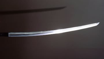 “Daddy, I found a sword:” The incredible discovery made by an 8-year-old girl