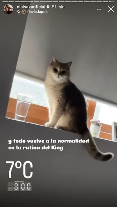 La noticia que hace feliz a Arturo Vidal y Sonia Isaza