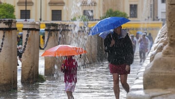 Transe¨²ntes protegidos con paraguas durante las fuertes lluvias. A 19 de junio de 2024, en Sevilla (Andaluc¨ªa, Espa?a). Durante la jornada de hoy mi¨¦rcoles algunas zonas de la provincia de Sevilla vivir¨¢ fuertes lluvias.
19 JUNIO 2024
Mar¨ªa Jos¨¦ L¨®pez / Europa Press
19/06/2024