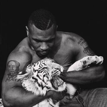 El siempre controversial Mike Tayson adquirió a un tigre blanco como mascota  