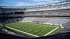 Does MetLife Stadium have turf or grass?