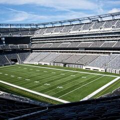 Does MetLife Stadium have turf or grass?