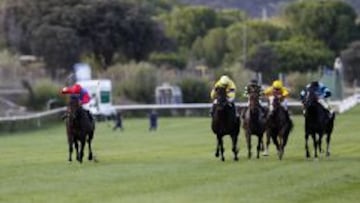 Carreras en el Hip&oacute;dromo de La Zarzuela. 