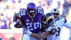 Adrian Peterson, corredor de Minnesota, ha vuelto a dominar el backfield de los Vikings. 