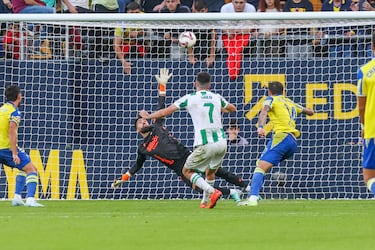 La confirmación de un cómodo visitante