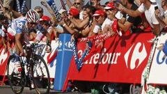 El delfín del mundo