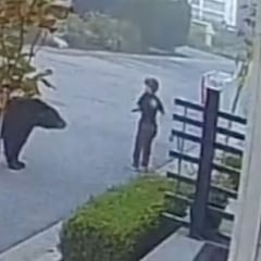 Un niño en patinete se enfrenta a un oso en plena calle