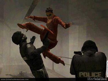 Enter The Matrix (GameCube)