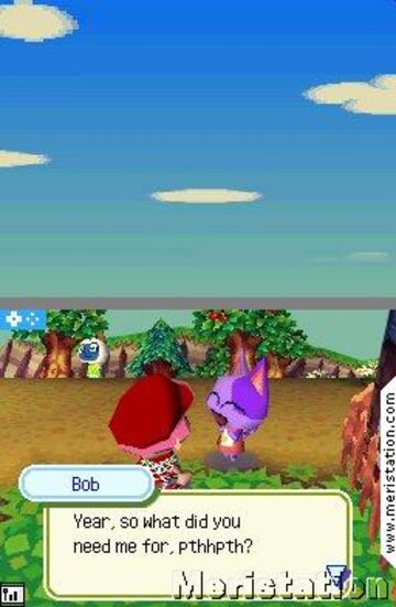 Captura de pantalla - animal_crossing_ds_0007.jpg