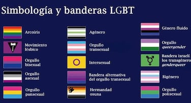 ¿Cuántas banderas LGBTIQA+ hay y cuál es su significado?