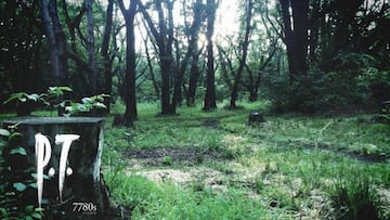 P.T. vuelve a la vida gracias a la comunidad