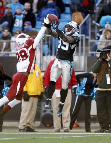 Malos tiempos para los felinos