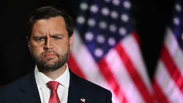 What does the vice president of the US do? This is his role and