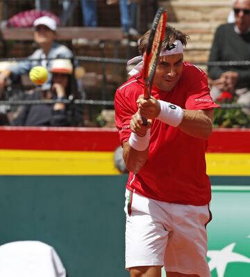 David Ferrer.