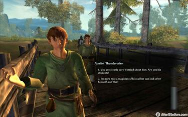 Drakensang: The Dark Eye, Impresiones