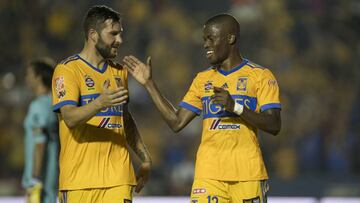 Tigres ganó en casa y aún aspira al liderato general