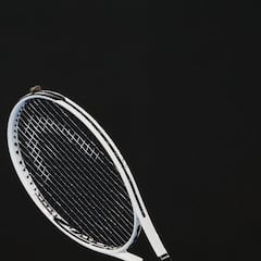 La bonita reacción de Sinner tras ver una cucaracha en la pista