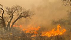 Los incendios continúan causando estragos en partes de Texas. Aquí las recomendaciones de las autoridades para quienes residen cerca.